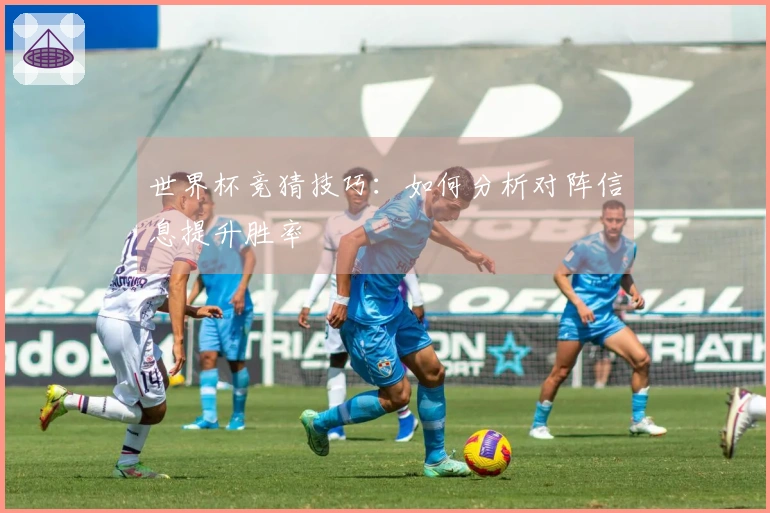 世界杯竞猜技巧：如何分析对阵信息提升胜率