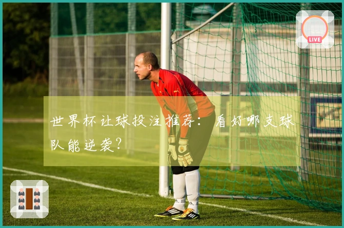 世界杯让球投注推荐：看好哪支球队能逆袭？