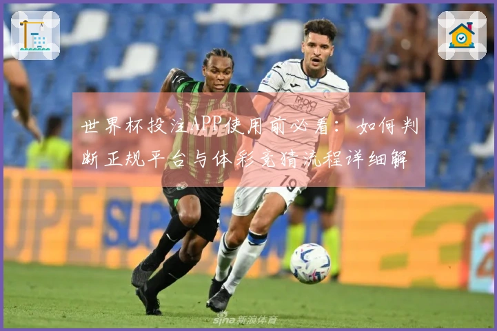世界杯投注APP使用前必看:如何判断正规平台与体彩竞猜流程详细解析