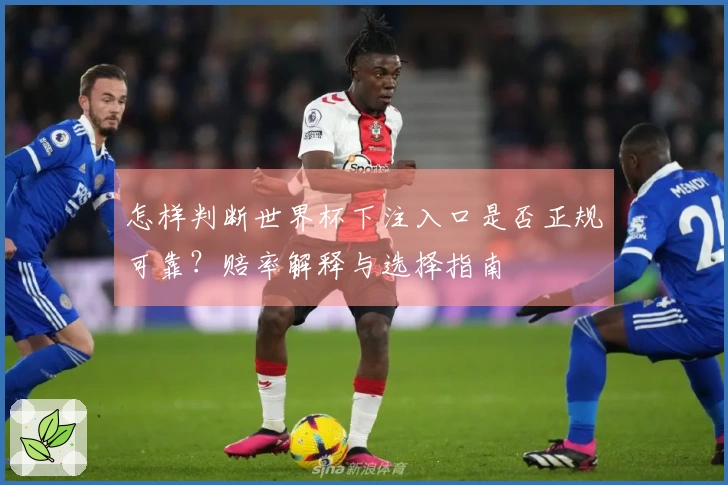 怎样判断世界杯下注入口是否正规可靠？赔率解释与选择指南