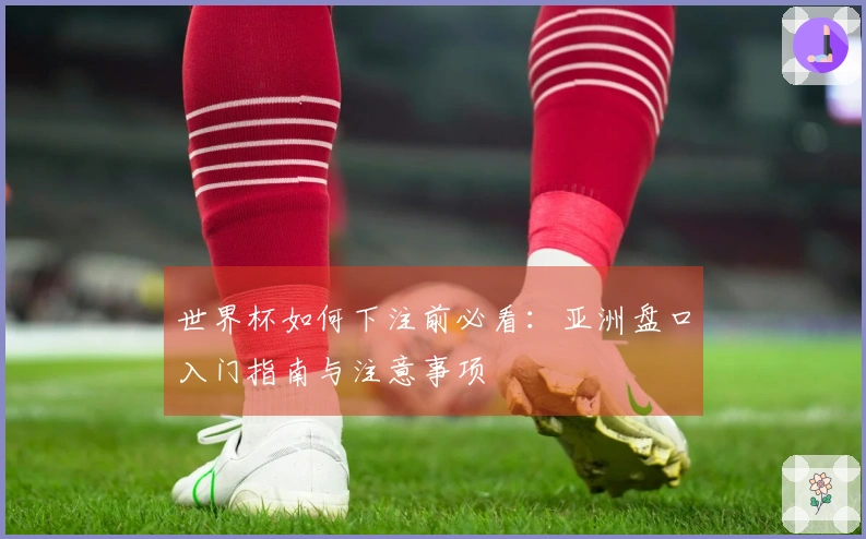 世界杯如何下注前必看：亚洲盘口入门指南与注意事项