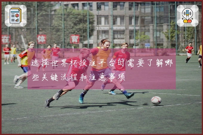 选择世界杯投注平台时需要了解哪些关键流程和注意事项