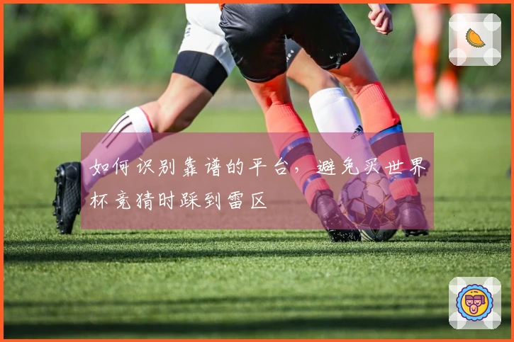 如何识别靠谱的平台,避免买世界杯竞猜时踩到雷区