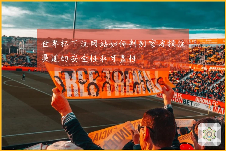 世界杯下注网站如何判别官方投注渠道的安全性和可靠性