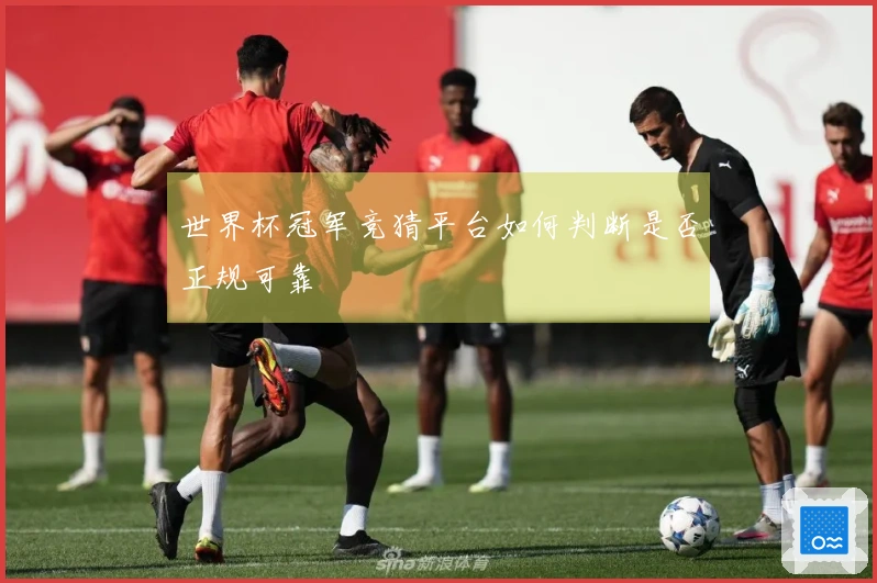 世界杯冠军竞猜平台如何判断是否正规可靠