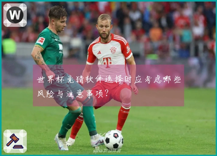 世界杯竞猜软件选择时应考虑哪些风险与注意事项？