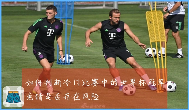 如何判断冷门比赛中的世界杯冠军竞猜是否存在风险