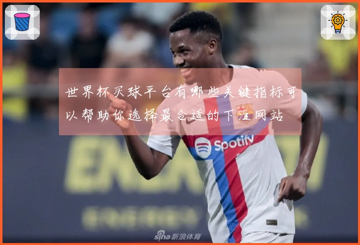 世界杯买球平台有哪些关键指标可以帮助你选择最合适的下注网站