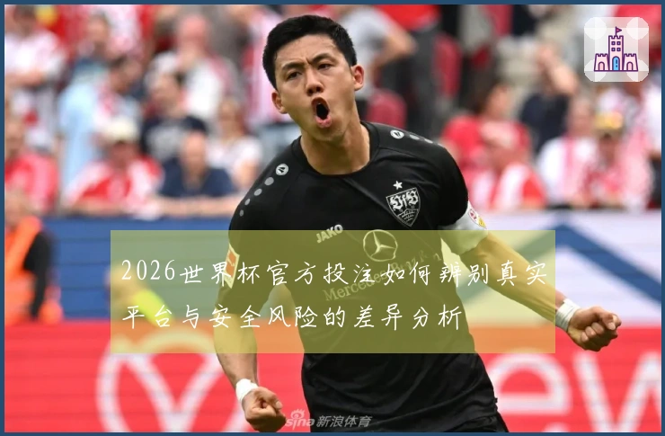 2026世界杯官方投注如何辨别真实平台与安全风险的差异分析