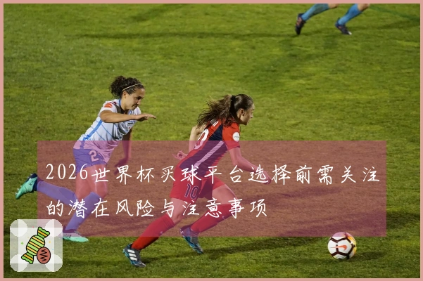 2026世界杯买球平台选择前需关注的潜在风险与注意事项