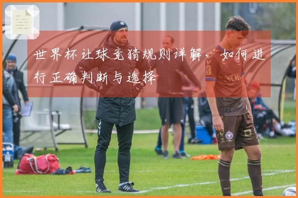世界杯让球竞猜规则详解，如何进行正确判断与选择