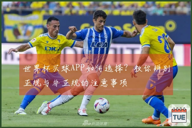 世界杯买球APP如何选择？教你辨别正规与非正规的注意事项