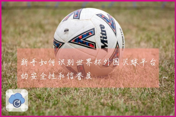 新手如何识别世界杯外围买球平台的安全性和信誉度