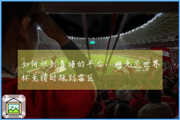 如何识别靠谱的平台，避免买世界杯竞猜时踩到雷区