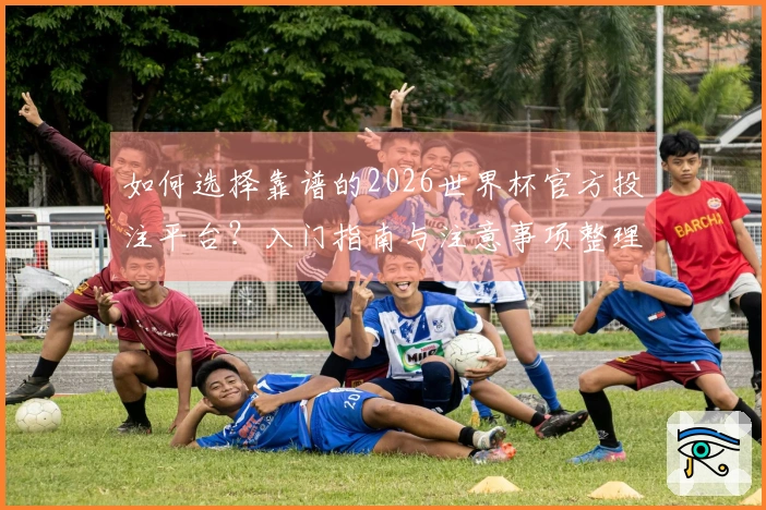 如何选择靠谱的2026世界杯官方投注平台？入门指南与注意事项整理