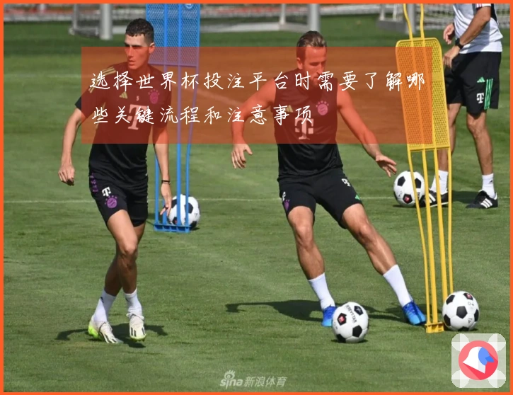 选择世界杯投注平台时需要了解哪些关键流程和注意事项