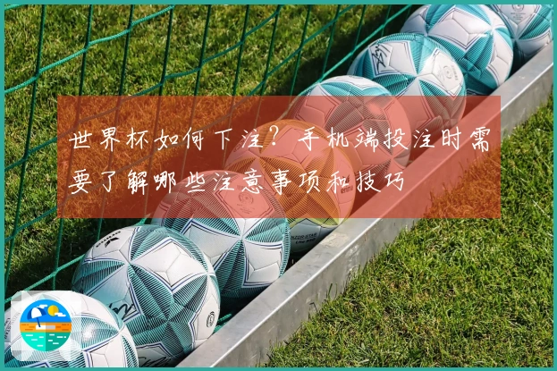 世界杯如何下注?手机端投注时需要了解哪些注意事项和技巧