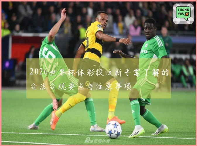 2026世界杯体彩投注新手需了解的合法合规要点与注意事项