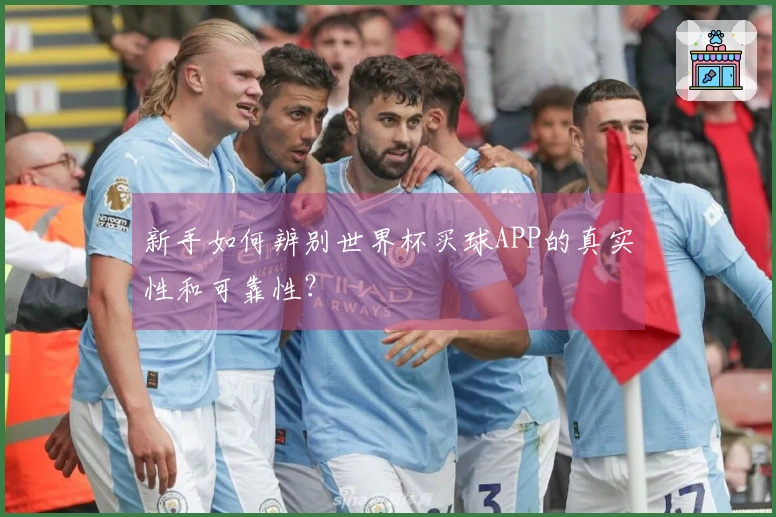 新手如何辨别世界杯买球APP的真实性和可靠性？