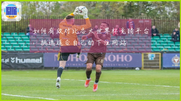如何有效对比各大世界杯竞猜平台，挑选适合自己的下注网站