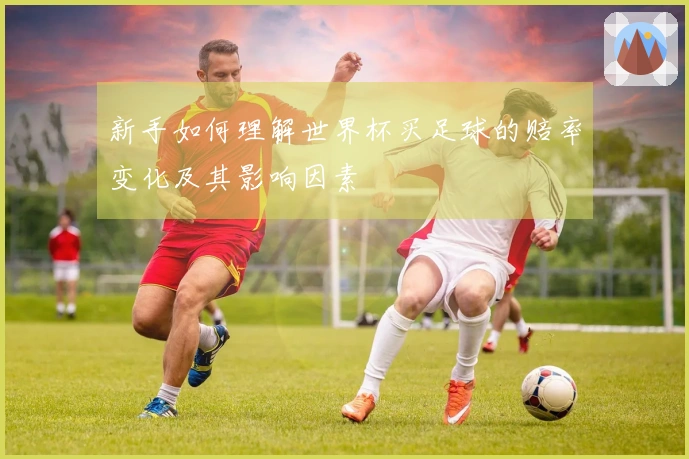 新手如何理解世界杯买足球的赔率变化及其影响因素
