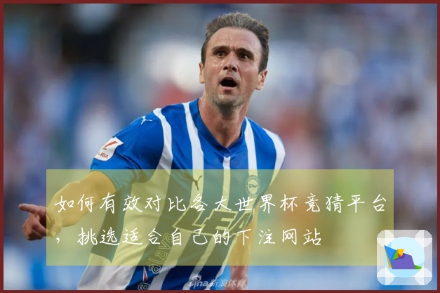 如何有效对比各大世界杯竞猜平台,挑选适合自己的下注网站